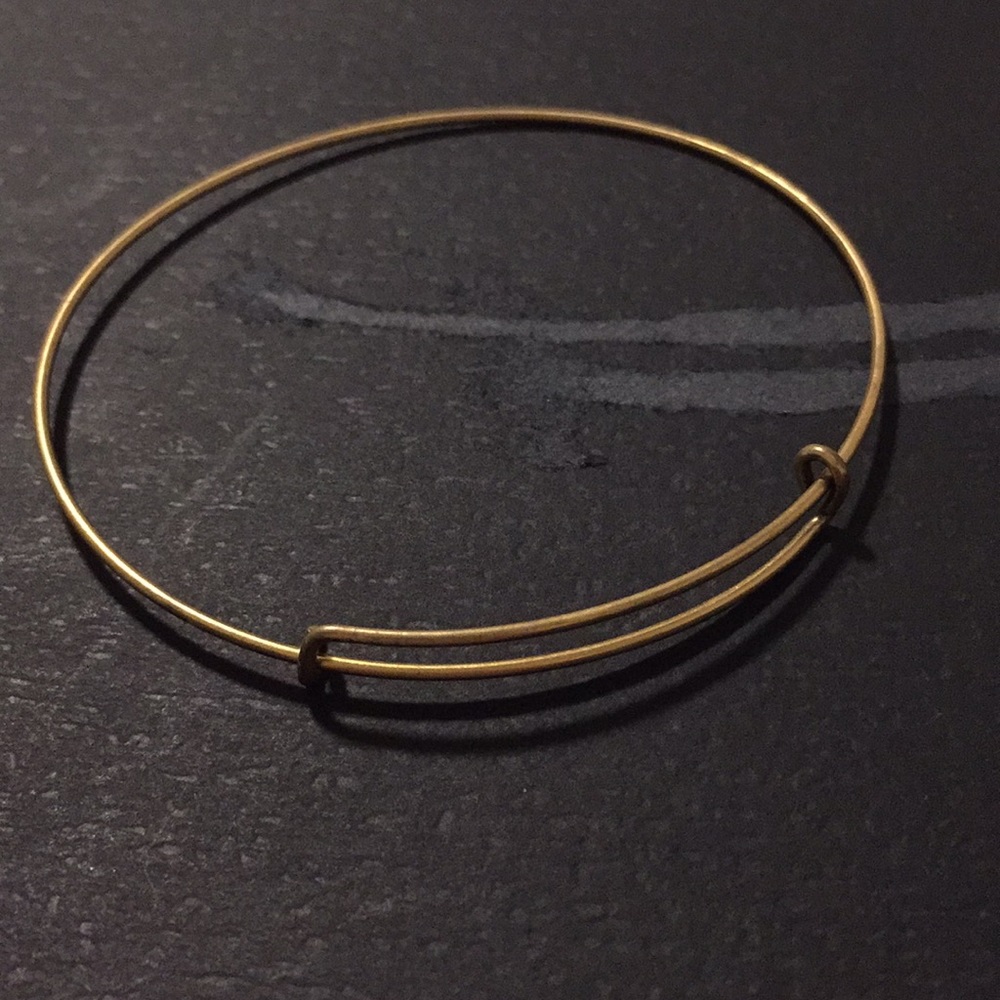 Alex and ani plain thin bangle